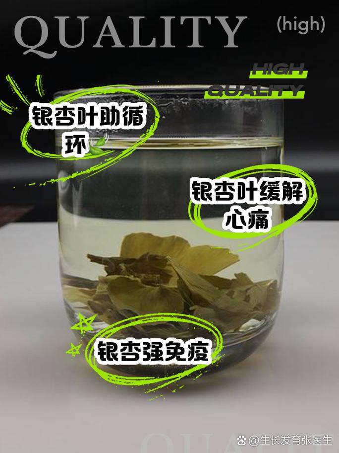 银杏叶泡水喝的功效 家人们,有没有发现最近大家都在讨论银杏叶泡水喝