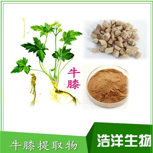 怀牛膝提取物10:1 牛膝提物 牛膝多糖 规格价格-阿里巴巴