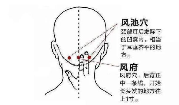 疏通风池风府的好处多多.经常疏通脑后的风池,风府穴,可以预防 - 抖音