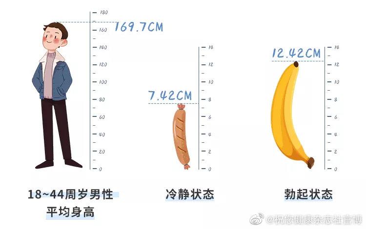 男人那里的尺寸,多少才算正常?