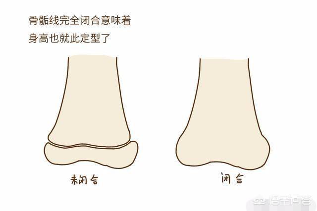 我今年16周岁,骨骼线已经闭合,请问还能长高吗