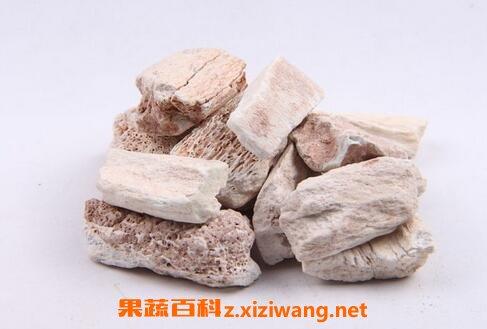 【龙骨】龙骨的什么_龙骨的功效与作用_果蔬百科全说z.xiziwang.net