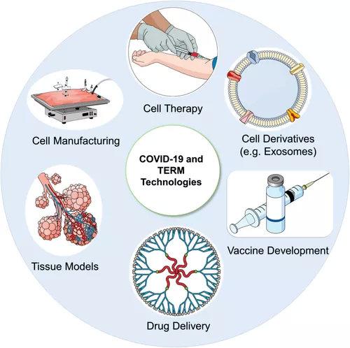 156例临床试验!干细胞疗法被用作新冠病毒主要潜在治疗方法