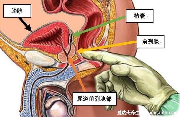 前列腺炎一杯水自测方法不科学,教你对照症状自测更靠谱