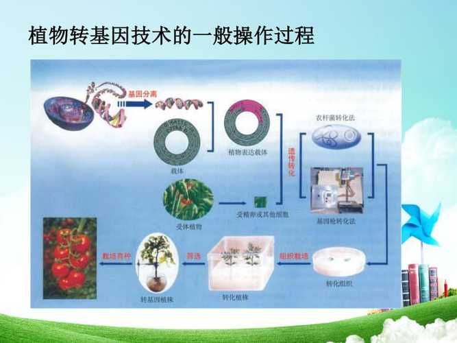 植物细胞转基因技术28页ppt高清阅读