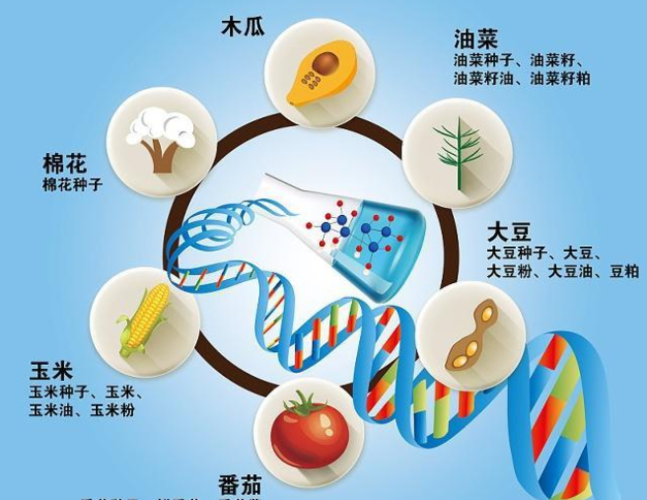 科学认知转基因技术