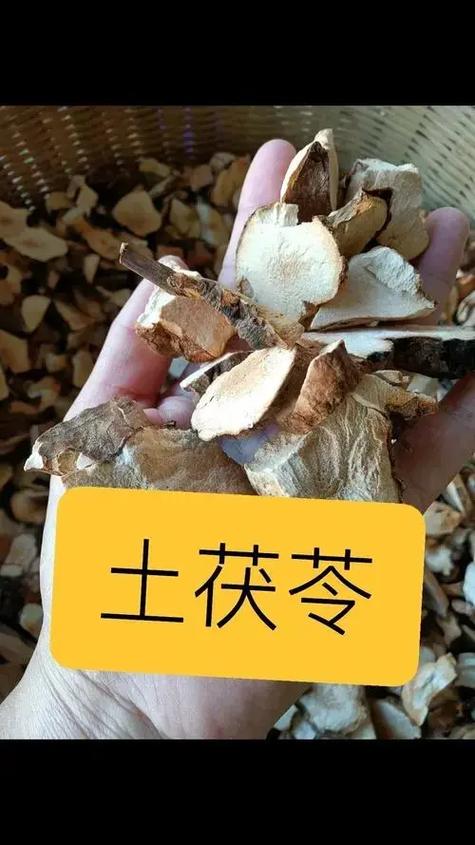 3,功效和主治不一样:土茯苓属于清热解毒药的范畴,茯苓属于利水渗湿药