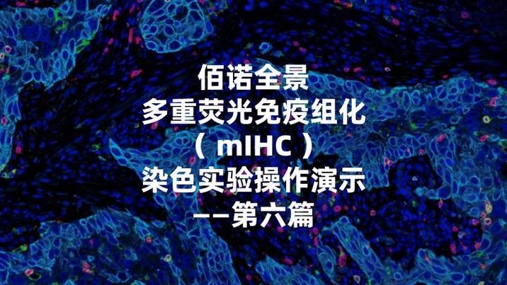 多重荧光免疫组化(mihc)染色实验—第六篇