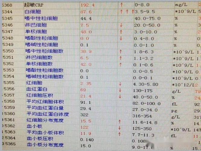 令人迷惑的单核细胞增多_手机搜狐网