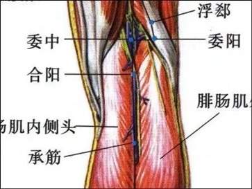 实在难受的话,可以去当地的中医院进行针灸治疗,推拿缓解症状,一般