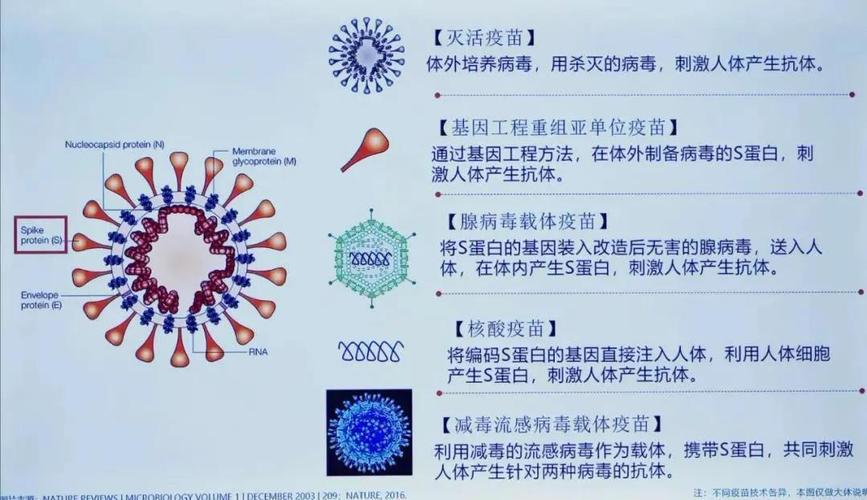 可耐受,一期试验的中,高剂量组曾发生不良事件,但无需干预即可自愈