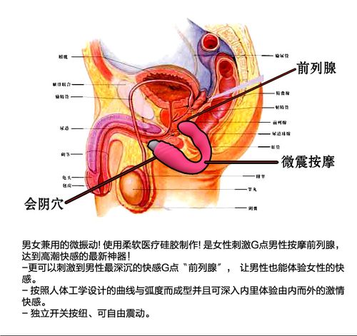 取悦前列腺震动按摩器 同志肛交用品 性爱用具sm后庭自慰肛门塞 成人