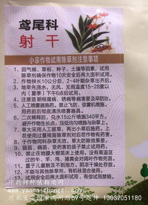 射干 鸢尾科中药材苗后专用除草剂