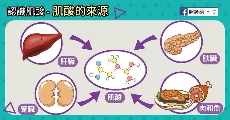 吃肌酸有副作用吗?