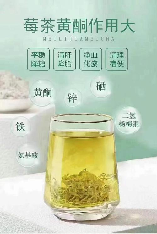 莓茶作为药食同源植物,清热利湿,平肝降