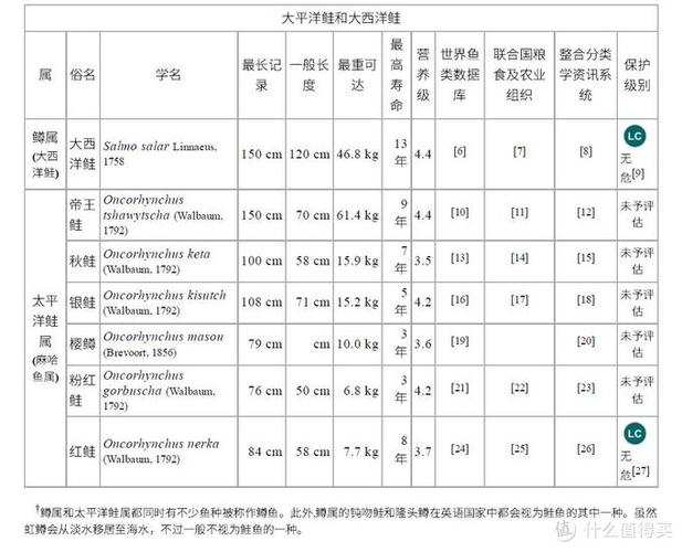 统称为三文鱼的鱼类,有两大品种是最常见(当然是因为商业价值最高