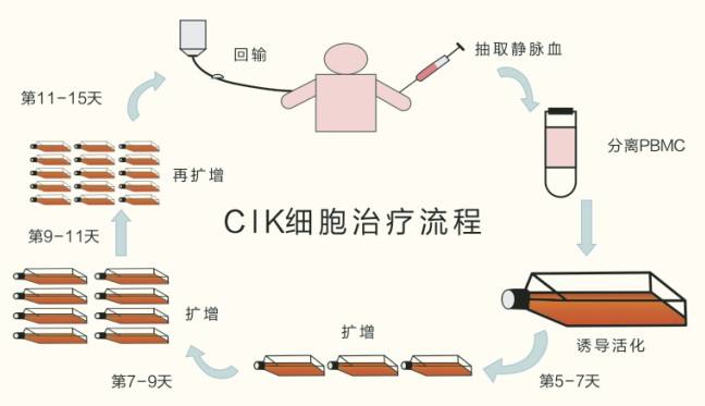 对抗肿瘤,细胞免疫疗法之高效cik细胞治疗