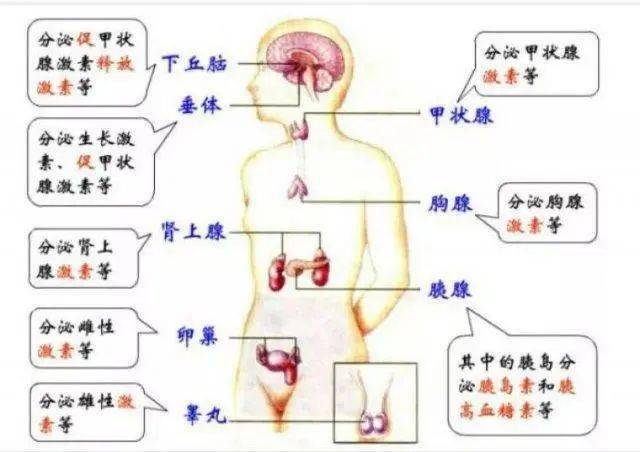 男性健康丨这几个方面,可能使你不育!