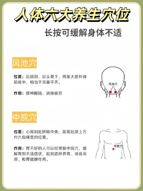 人体养生穴位94风池穴位置:后颈部,后头骨下,两条大筋外缘陷窝中