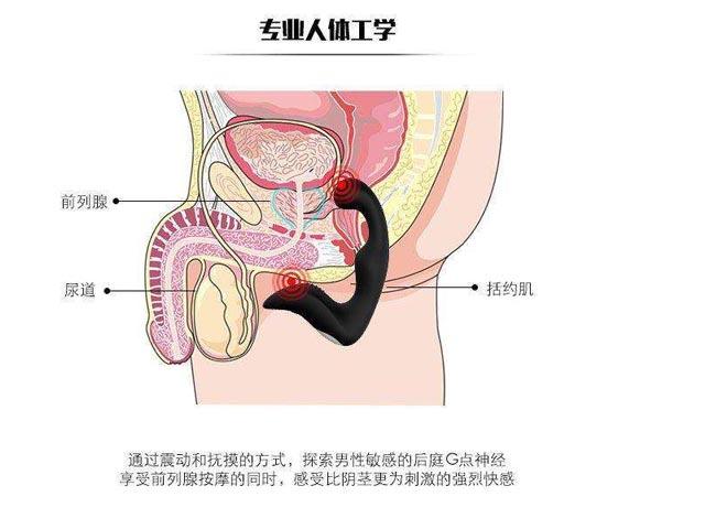 如何自我检测前列腺男人前列腺有问题不可忽视