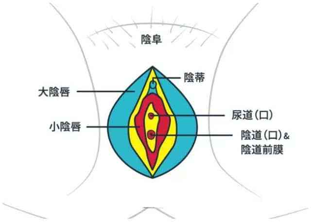 技巧丨抚摸刺激阴蒂也要讲技巧