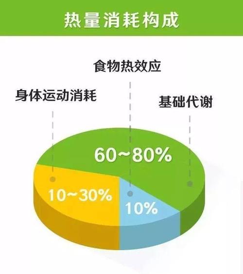 从图上可以看出,普通人每天基础代谢消耗的热量超过了总消耗的60%,也