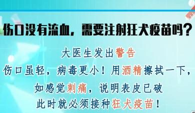 伤口没有流血,还需要注射狂犬疫苗吗?医生警告第一时间要这样做