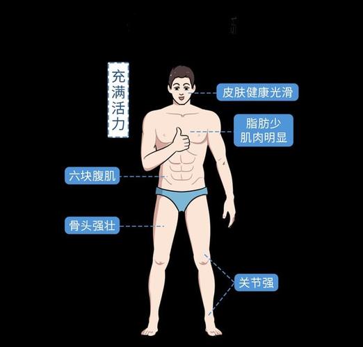 影响男性的第二性征提升肌肉力量和促进骨骼生长睾酮最重要的功能是