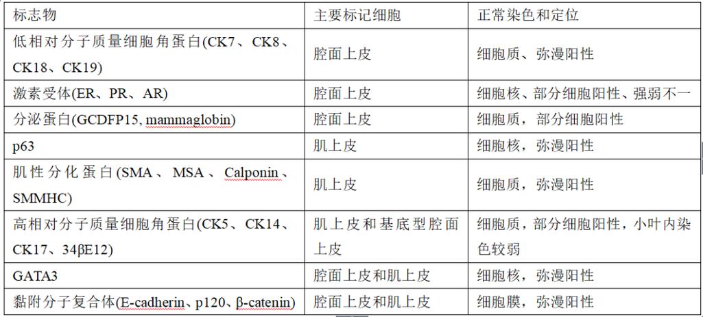 乳腺癌免疫组化标志物,都总结好了!