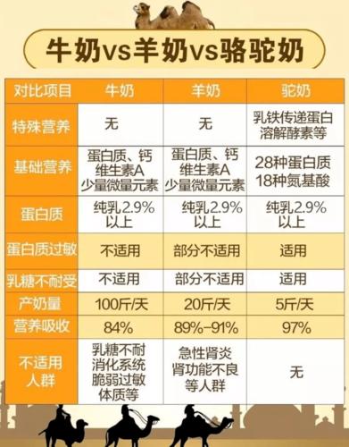 热一杯新疆牧场的骆驼奶,养生又温暖.