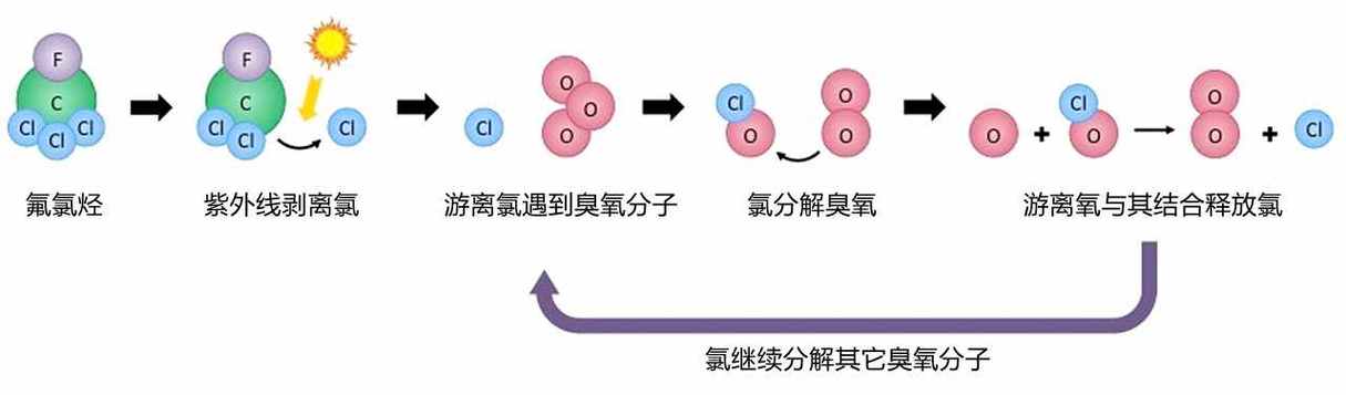 氟利昂有毒吗空调里的氟利昂有毒吗