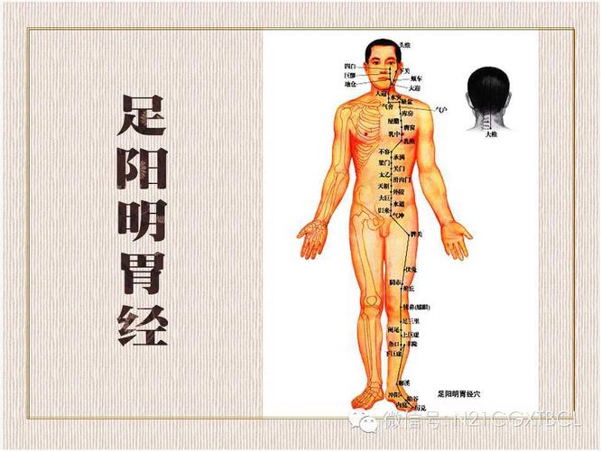 经络不通,人体所表现的症状