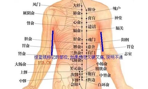 你必须要知道,做完火疗后如何判断您的经络已经打通