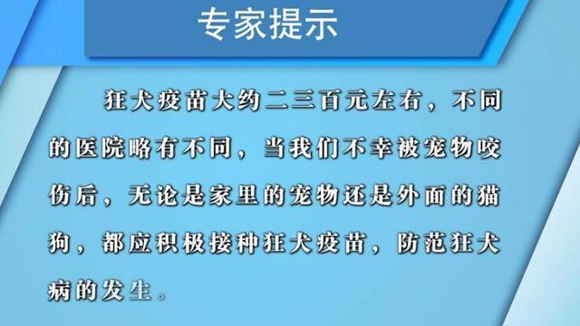 狂犬疫苗针多少钱(2023狂犬疫苗多少钱一针)