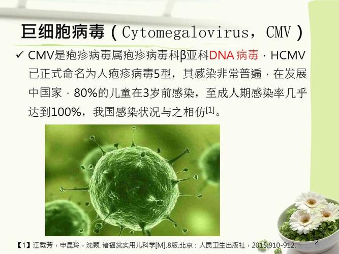 医学课件人巨细胞病毒感染ppt