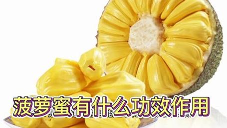 菠萝蜜有什么功效作用?