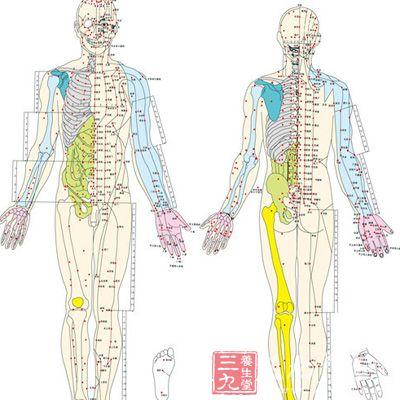 经络的生理及经络学说的应用