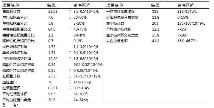 白细胞计数,中性粒细胞绝对值,中性粒细胞百分比,单核细胞绝对值,嗜