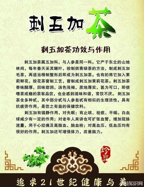 刺五加茶的功效与作用