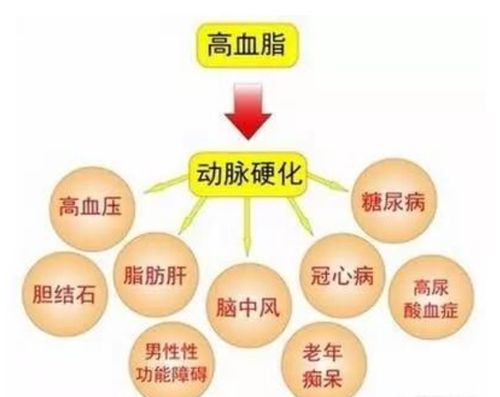 血脂正常而胆固醇偏高是什么原因?