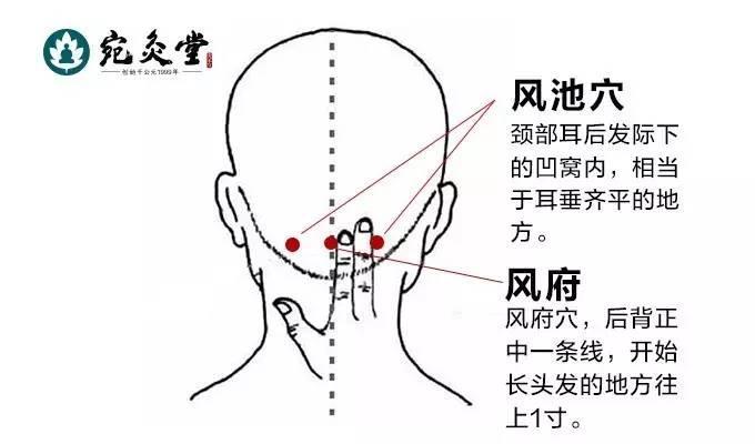 【温和灸风池穴】【艾灸方法】:取坐位或仰卧位.