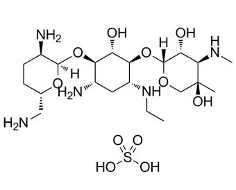 硫酸依替米星 etimicin sulfate