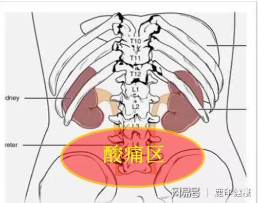 肾区的疼痛一般在胸腰交界,就是我们平时理解的上腰部.