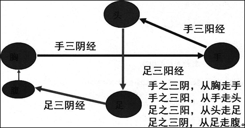 中药学综合知识与技能考试中医基础理论经络考点_执业药师考试章节