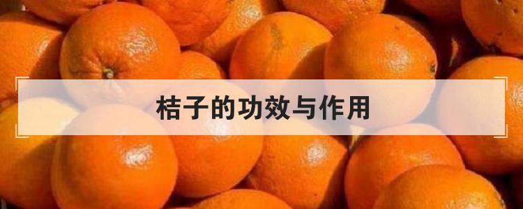 桔子的功效与作用优质